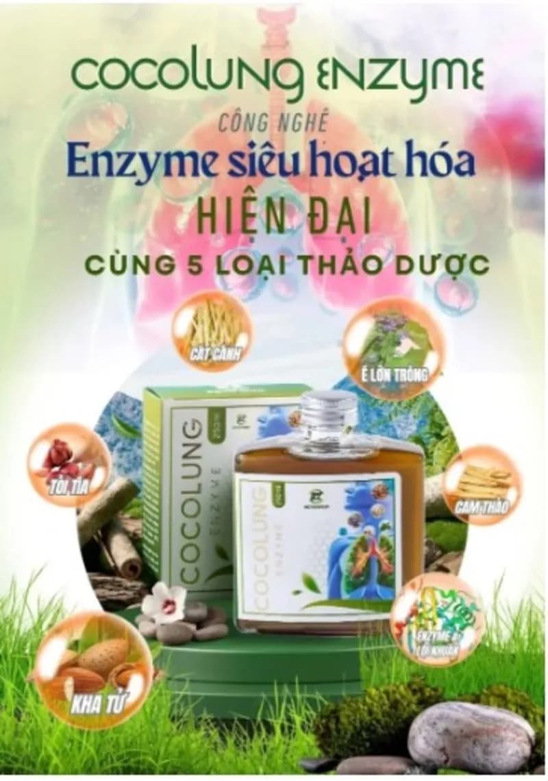 COCOLUNG ENZYME – Xoa Dịu Cơn Ho, Bảo Vệ Đường Hô Hấp thumbnail 2